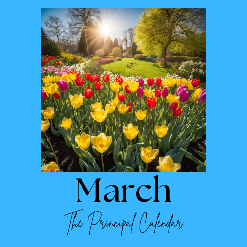 A picture of spring tulips on a sunny day with the text March, The Principal Calendar
